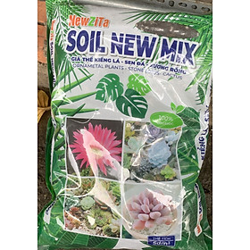 Giá thể trồng kiểng lá sương rồng sen đá Soil New mix túi 5 dm3