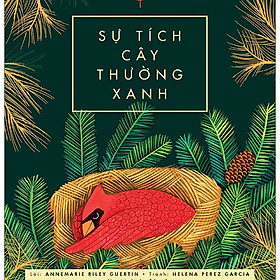 Nơi bán Sự Tích Cây Thường Xanh - Giá Từ -1đ