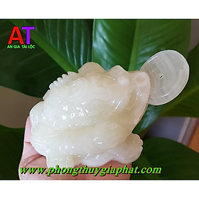 Mua THIỀM THỪ ĐÁ NGỌC PAKISTAN