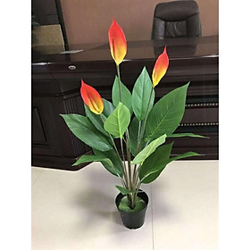 Cây giả - Cây Lan Ý Cao 90cm - Cây hoa giả - Ko kèm chậu - Hàng có sẵn, đủ 4 màu. Cây cảnh giả trang trí nhà cửa