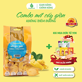 Mít sấy giòn cao cấp  KHÔNG THÊM ĐƯỜNG Nonglamfood túi 100g | Đồ ăn vặt dinh dưỡng | Thơm ngon thượng hạng