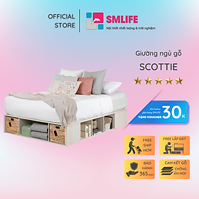 Mua Giường đơn cho bé thiết kế đẹp SMLIFE Scottie