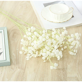 Mua Hoa giả  hoa sao nhựa trang trí tuyệt đẹp