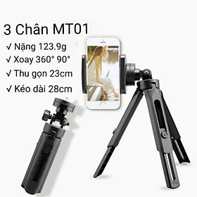 Mua Giá Đỡ Mini Xếp Gọn 3 Chân Tripod Support MT01 Xoay 360 Độ-dc4357