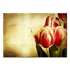 Mua Tranh Canvas Treo Tường Trang Trí Nghệ Thuật Cánh TuLip Suemall CV140842