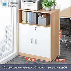 Mua Tủ Hồ Sơ Văn Phòng Nhỏ Gọn Có Khóa Tiện Lợi Thương Hiệu SIB Decor HS21