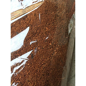 Mua Mụn xơ dừa đã qua xử lý- giá thể trồng cây 1kg