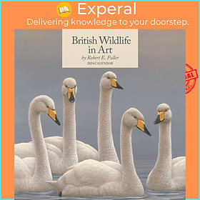 Sách - British Wildlife in Art by Robert Fuller Square Wall Calendar 2024 by  (UK edition, paperback)