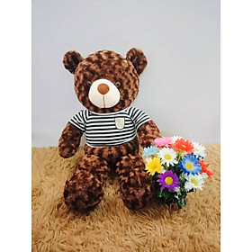 Thú Bông Gấu teddy áo thun 40cm