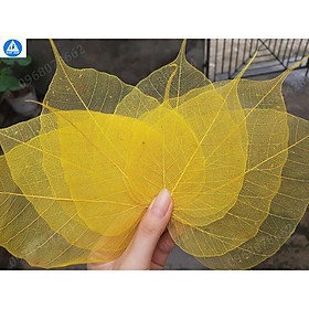 Mua set 10 lá bồ đề đã nhuộm vàng tự nhiên
