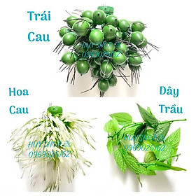 Mua COMBO DÂY TRẦU QUÀY HOA - TRÁI CAU