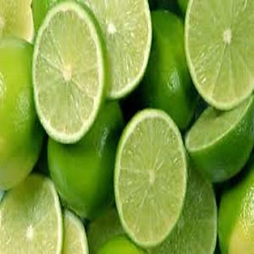 Cây giống chanh tứ quý RA QUẢ 4 MÙA