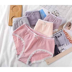 Hộp 5 quần lót cotton thiên nga kháng khuẩn cao cấp
