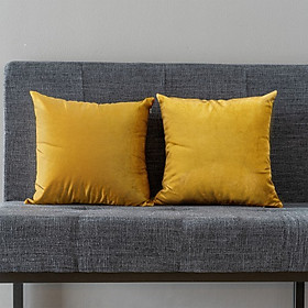 Mua Bộ 2 vỏ gối vuông trơn nhung dùng cho sofa  trang trí  tựa lưng.