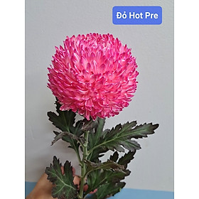 Túi Bột Nhuộm Màu Hoa Tươi Nhập Khẩu Công nghệ Israel (1 túi pha 1L nước màu hoa) Premium Color nhuộm được trên 200 cành hoa tươi