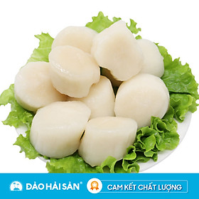 Sò Điệp 1kg