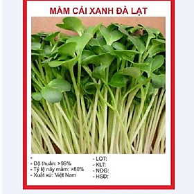 Hạt Giống Mầm Cải Bẹ Xanh -1Kg
