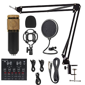 Voice Conversion Sound Card for Karaoke Living Broadcast Chat On Style A