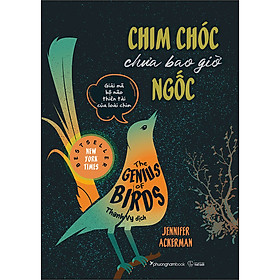 Sách Chim Chóc Chưa Bao Giờ Ngốc (Giải Mã Bộ Não Thiên Tài Của Loài Chim)