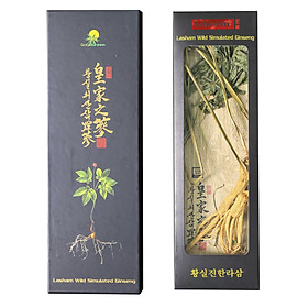 Hộp 2 Cây Sâm Núi Khô Nguyên Bản Lasham Hàn Quốc - 7 Năm Tuổi (lasham Dried Wild Simulated Ginseng -로얄 산삼 라삼)