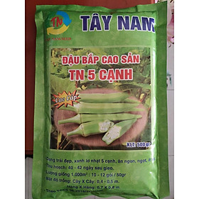 Hạt giống đậu bắp cao sản Tây Nam 500g