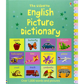 Usborne English Picture Dictionary (Over 1000 Words and Pictures)