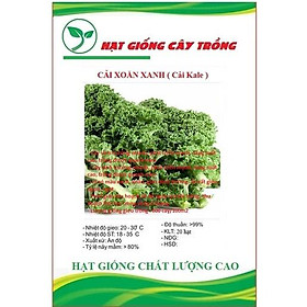 Hạt giống rau cải xoăn xanh - cải kale xanh - 1 gói 20 hạt