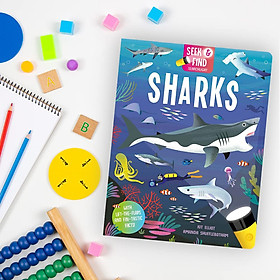 Sharks Book & Kit
