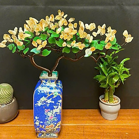 Cây Tài Lộc Mầm Tinh Thể Thạch Anh Vàng – Chậu Gốm Sứ Cao Cấp – Trang Trí Sang Trọng