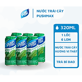 Lốc Lon Nước Trái Cây Trà Bí Đao Pushmax 320ml x 6 Lon