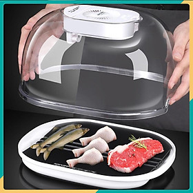 Mua Máy rã đông nhanh chóng thực phẩm Defrost Kitchen - công nghệ mới tiết kiệm thời gian