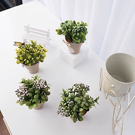 Mua Chậu hoa mini để bàn làm việc  bàn học trang trí decor không thêm xinh