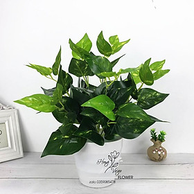 Mua Cụm cỏ giả