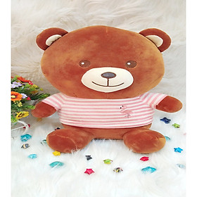 Gấu Bông TEDDY ÁO LEN HỒNG HỒNG HẠC