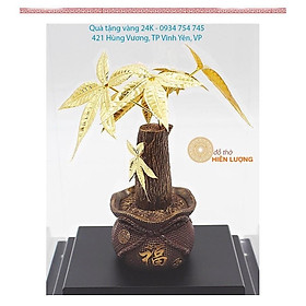 Mua Cây Kim Ngân Dát Vàng