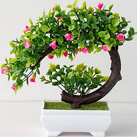 Mua CÂY GIẢ BONSAI HOA RỰC RỠ (kèm chậu) để bàn trang trí decor