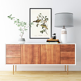 Tranh Canvas Động vật Chim Sẻ cao cấp. , Khung hợp nhôm chống ẩm, bền, đẹp, nhiều kích thước. Phù hợp nhiều không gian sang trọng