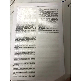 Sách - Từ Điển Y Học Anh - Việt (English - Vietnamese Medical Dictionary)