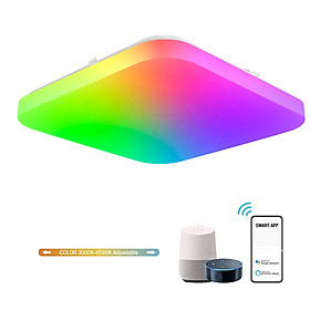Mua Đèn Trang Trí Cao Cấp Ốp Trần Wifi  Đổi Màu Theo Nhạc Điều Khiển Trên Ứng Dụng Tuyasmart SHP-HUE9