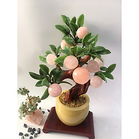 Mua Cây Tài Lộc - Đào đá Thạch anh hồng 9 quả - chậu ngọc - Lá Cẩm thạch - cao 45cm - nặng 5 7kg