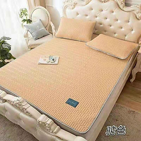 Mua Chiếu Điều Hoà Tencel Latex Mủ Cao Su Non Hàng Nhập Khẩu Cao Cấp 3 Món 1 Màu Sang Trọng