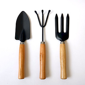 Mua Bộ dụng cụ làm vườn mini 3 món