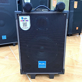 Mua Loa kéo bass 2 tấc giá rẻ AZ8 2 míc hàng chính hãng