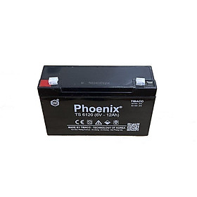 Ắc Quy PHOENIX TS6120 6V-12Ah - Chuyên Dùng Cho Nguồn Dự Phòng (UPS, Inverter, ...)