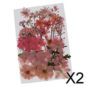2x36/37/38/39/42Pc Natural Real Pressed Dried Flowers DIY Scrapbook Pink