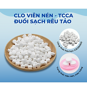 CHLORINE VIÊN 2 GRAM - XOA TAN NỖI LO RÊU TẢO BỂ BƠI