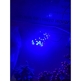 Mua Đèn led đúc F5 đế 8/9 5V/12V  biển quảng cáo  trang trí ngoài trời  quấn cây (1 bó 50 bóng)