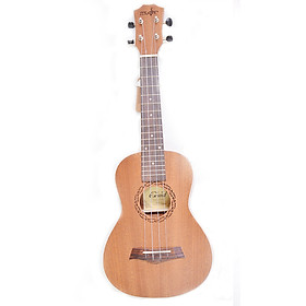 Mua Đàn Ukulele Concert gỗ Mahogany (tặng kèm bao đựng  sách học  phím gảy)