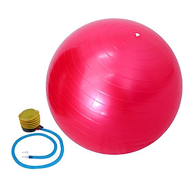 Exercise  Ball Fitness Anti Burst Workout Ball 65cm w/ Pump