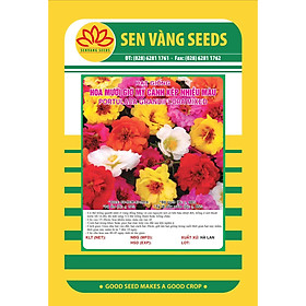 02 gói Hạt giống Hoa Mười Giờ Mỹ cánh kép nhiều màu VTS93